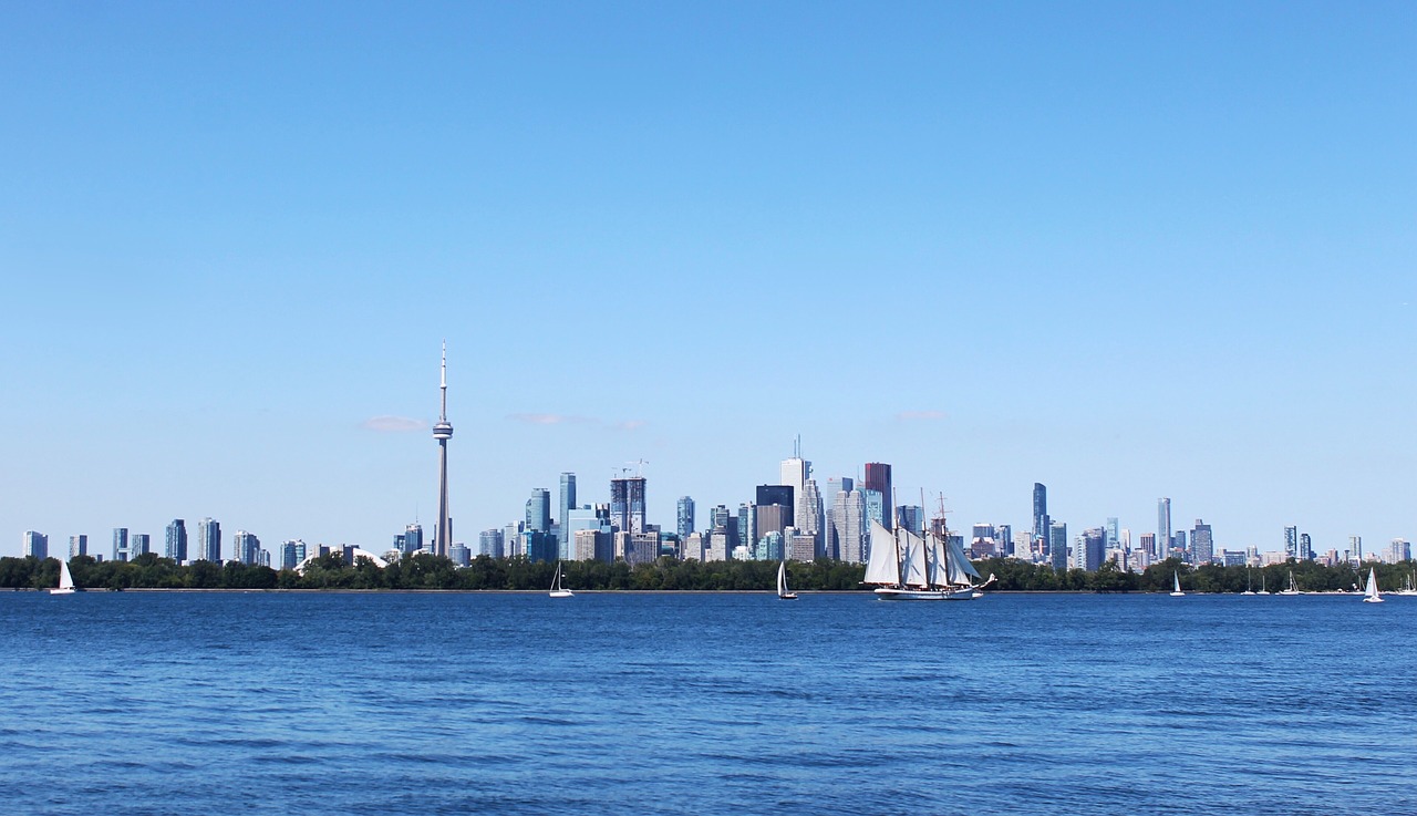 toronto  city  skyline free photo