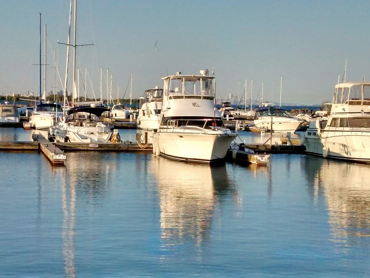 toronto port credit lakeshore free photo