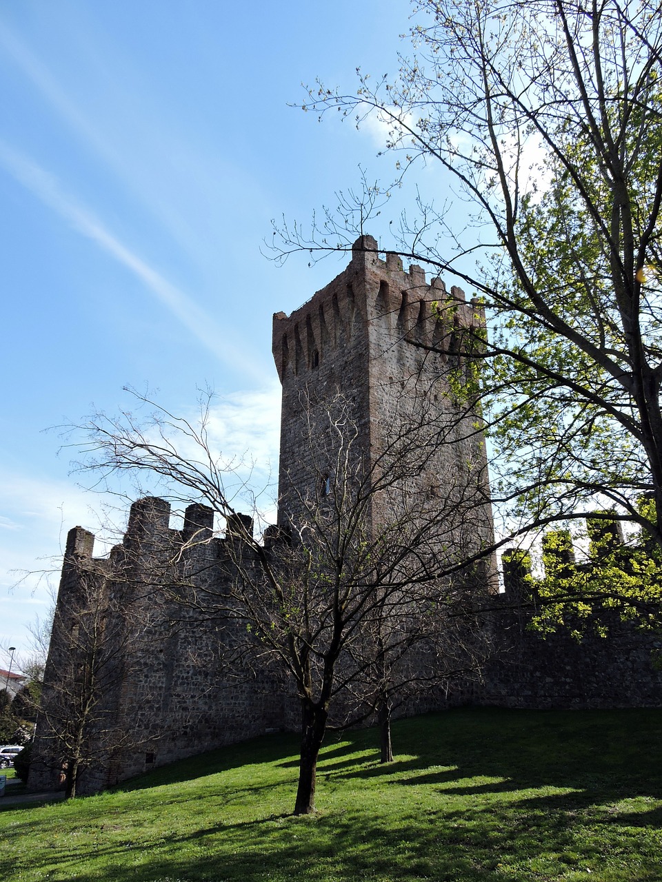 torre walls green free photo