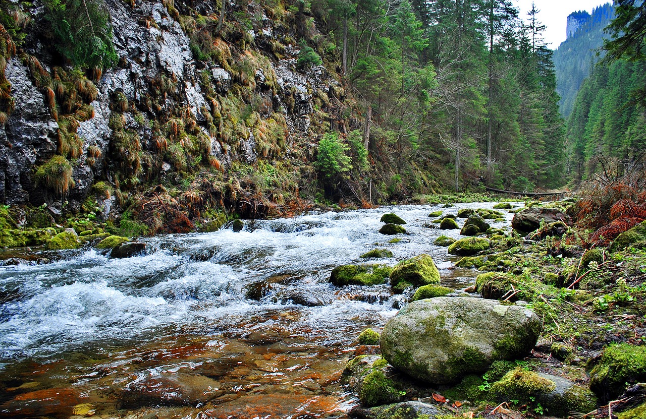 torrent tatry stream free photo