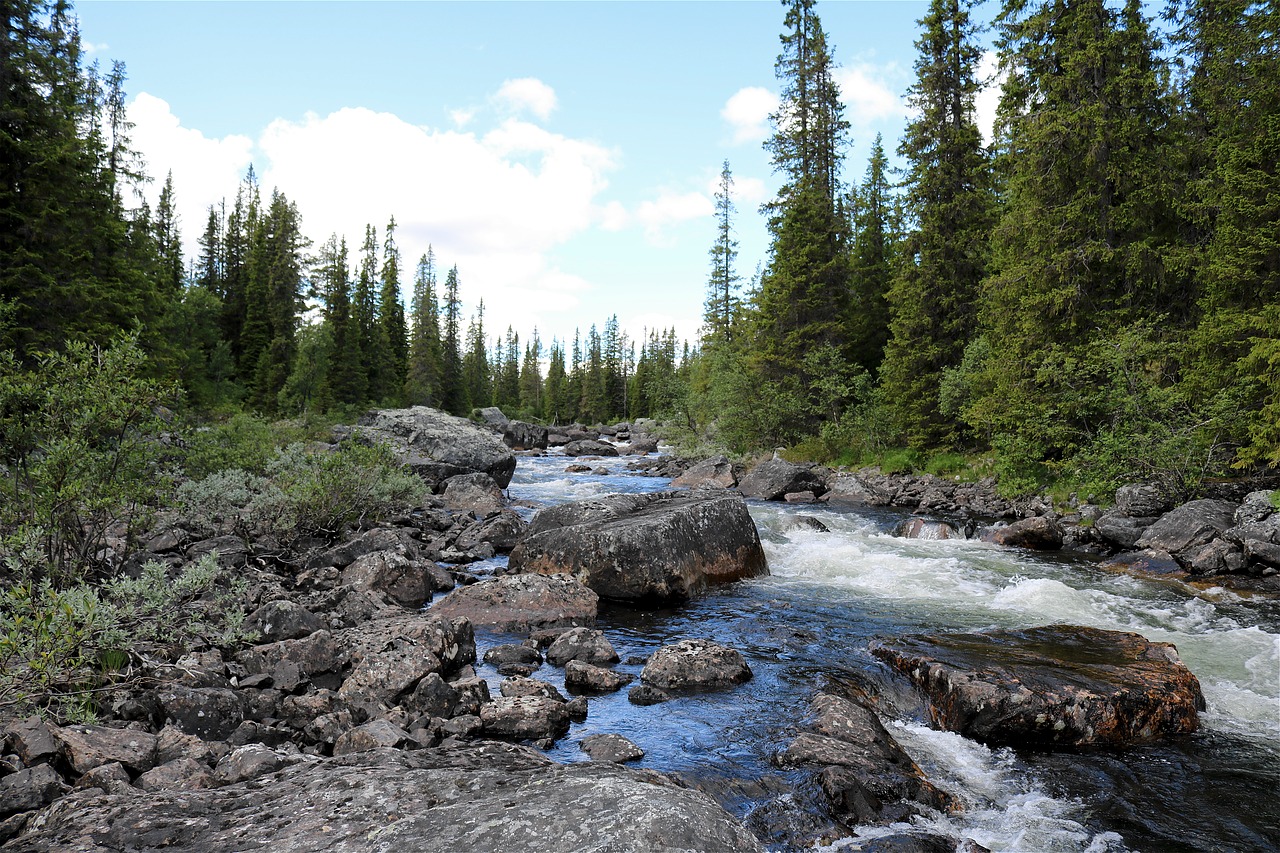 nature water running norway free photo