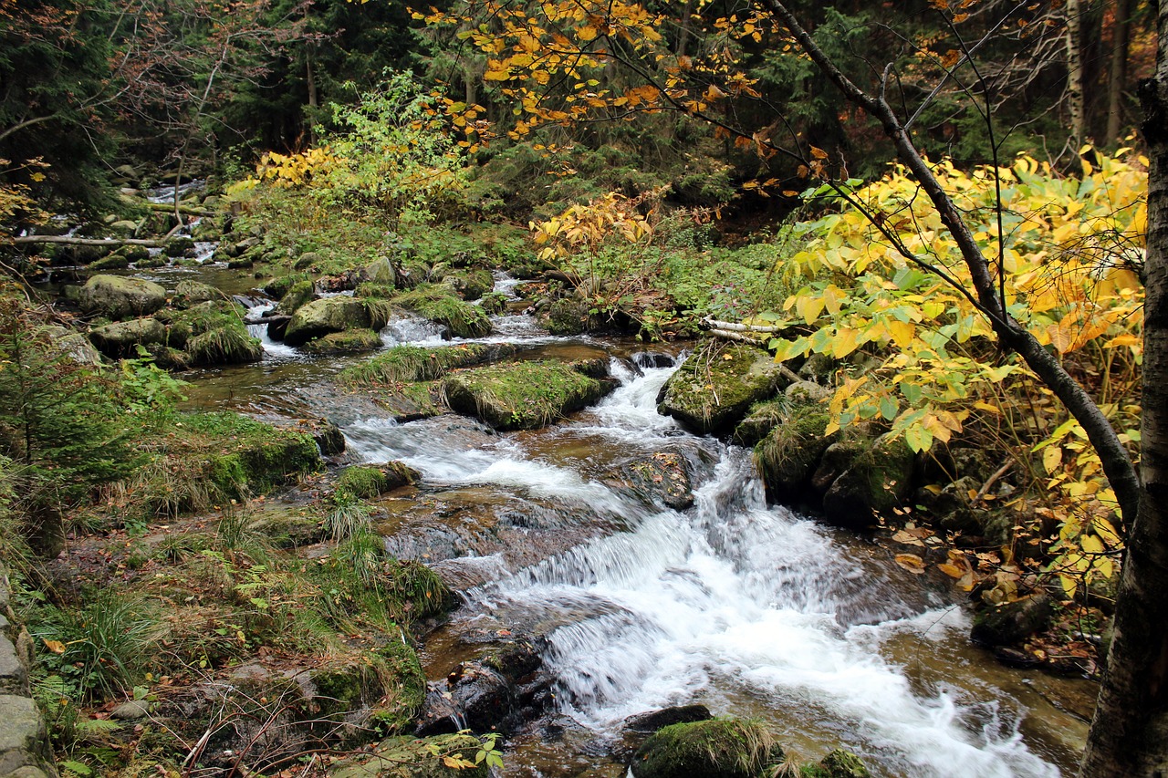 torrent mountains stream free photo