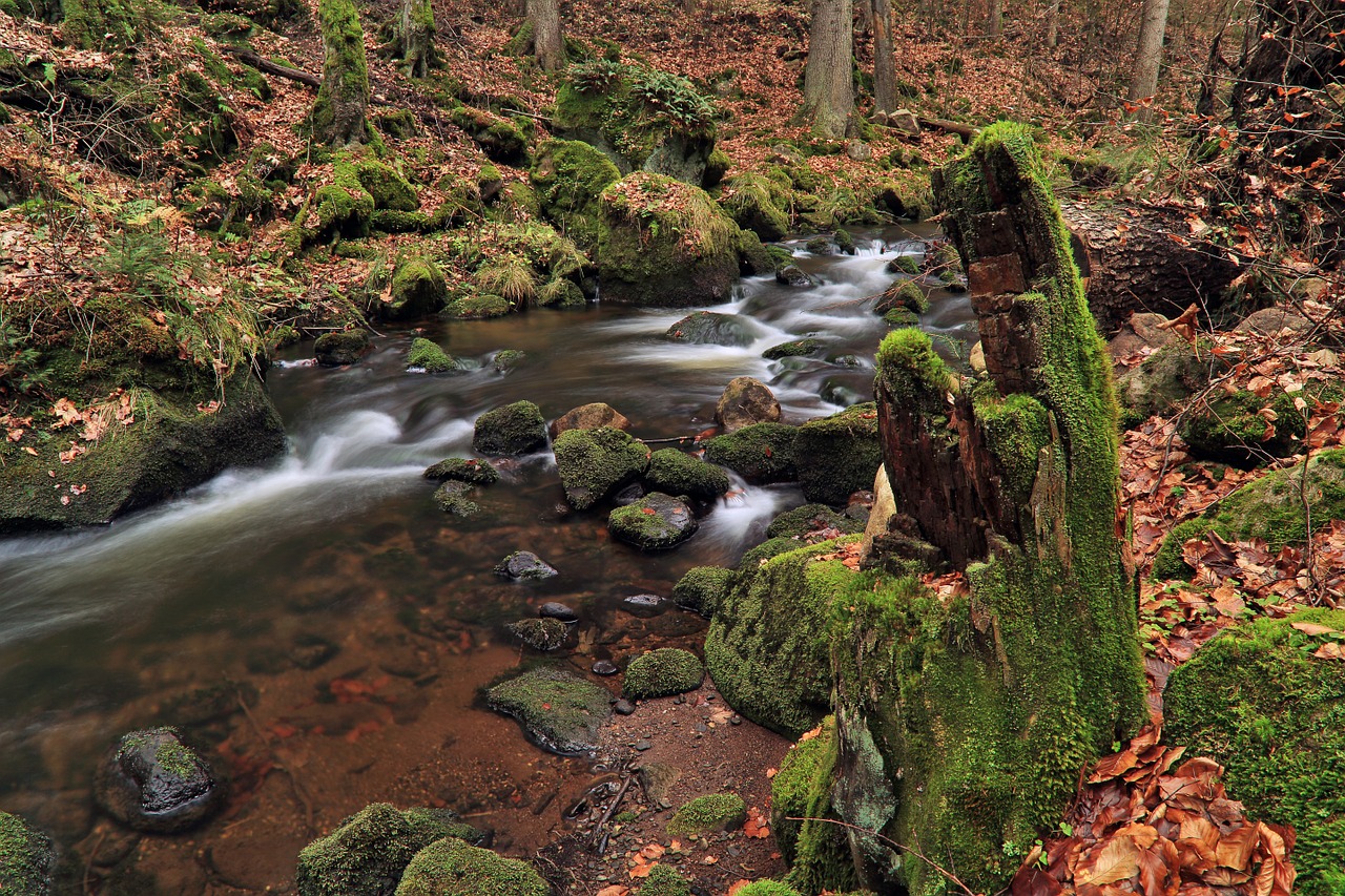 torrent river stream free photo