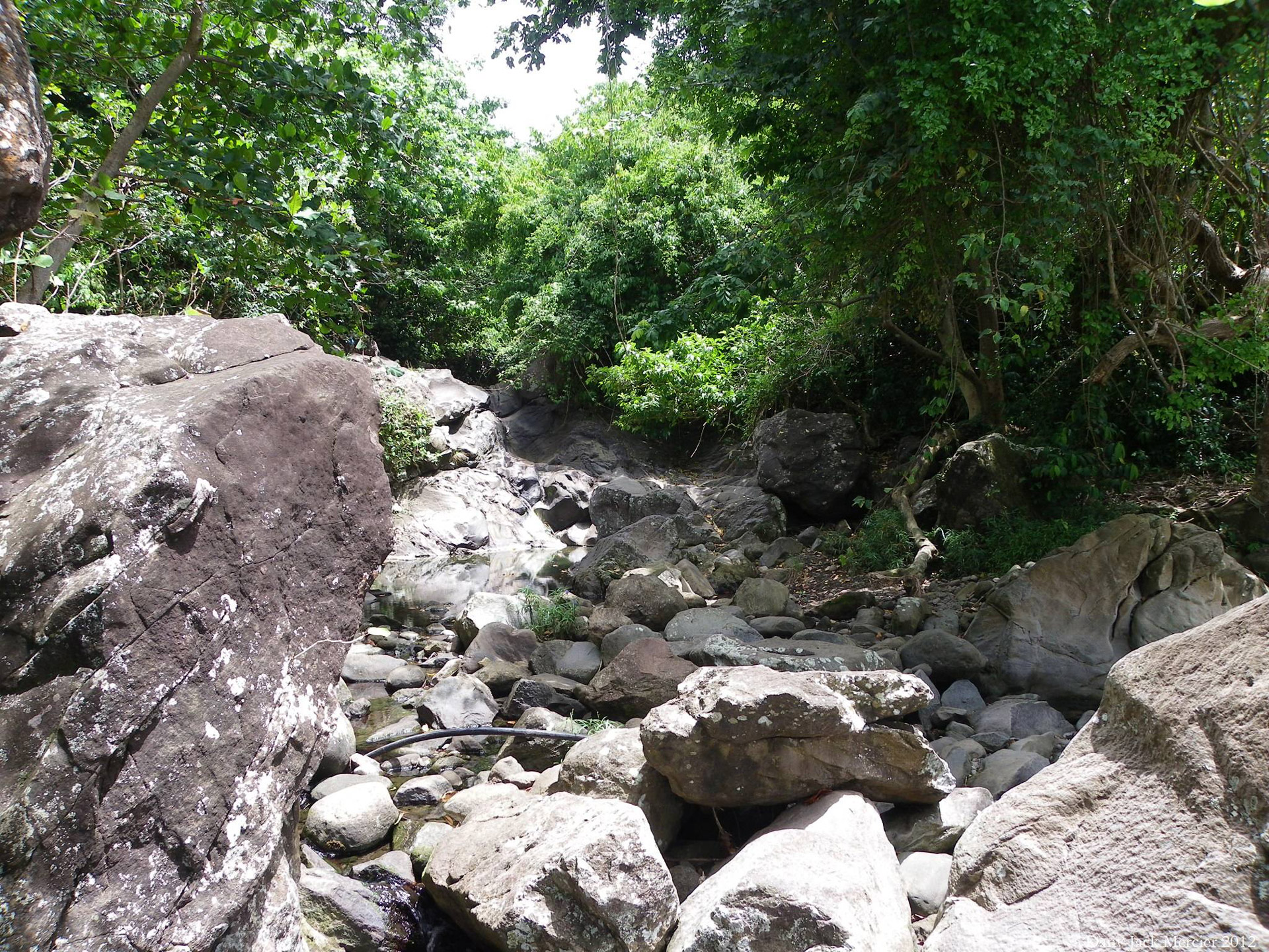 river bed stream rocks free photo