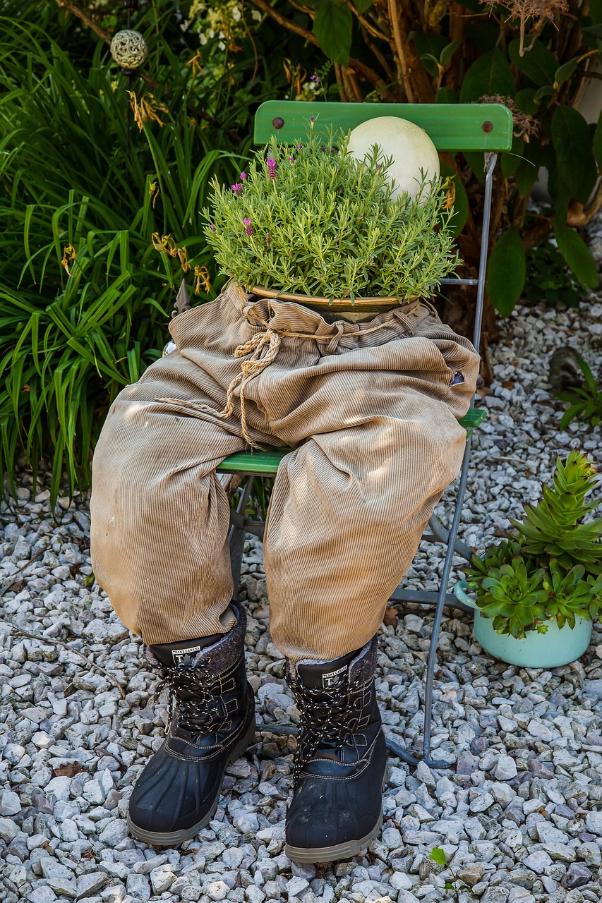 torso pants herbs free photo