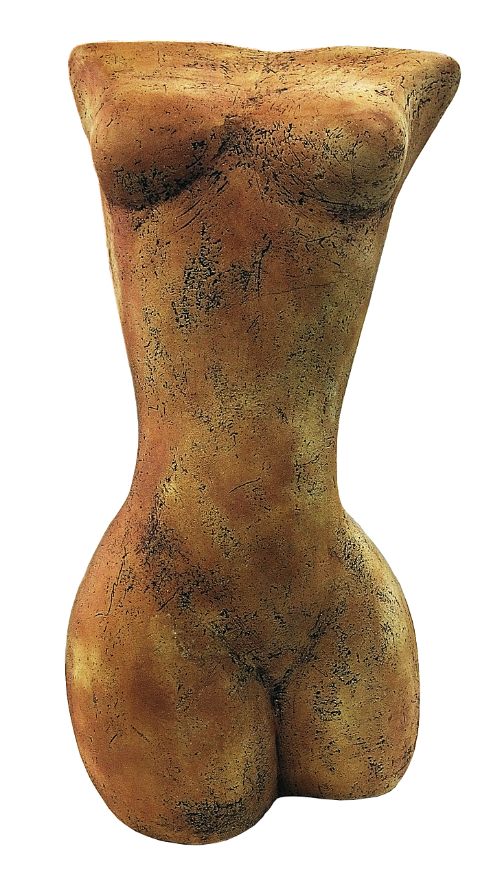 torso figure female free photo