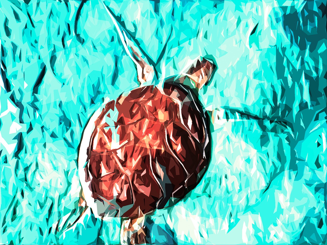 tortoise marine animal shell free photo