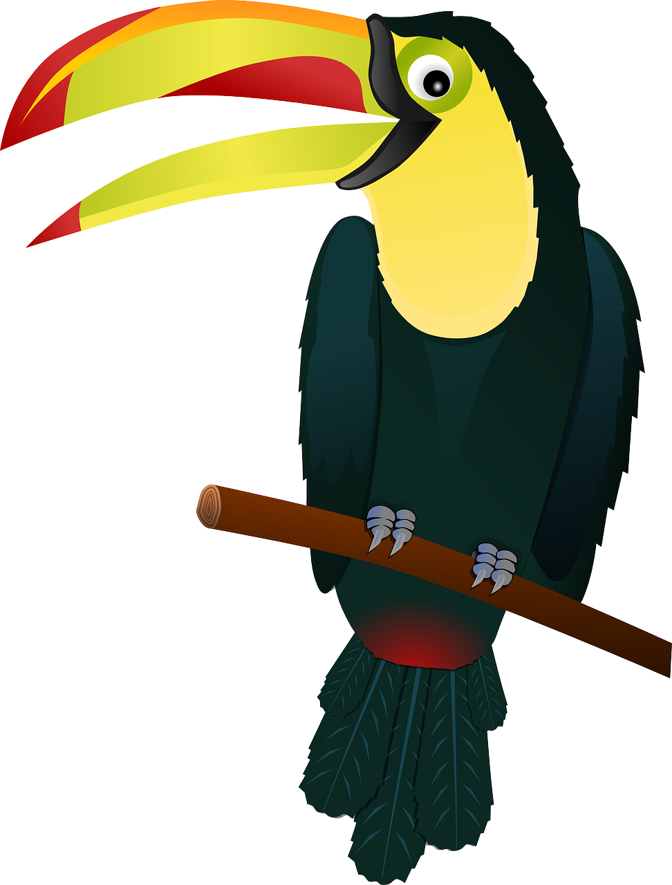 toucan bird tropical free photo
