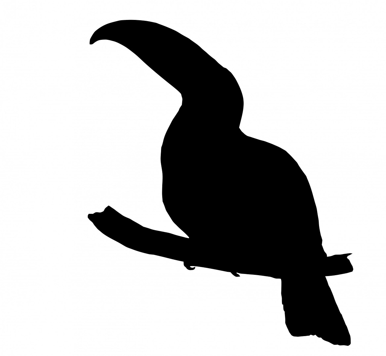 toucan bird art free photo