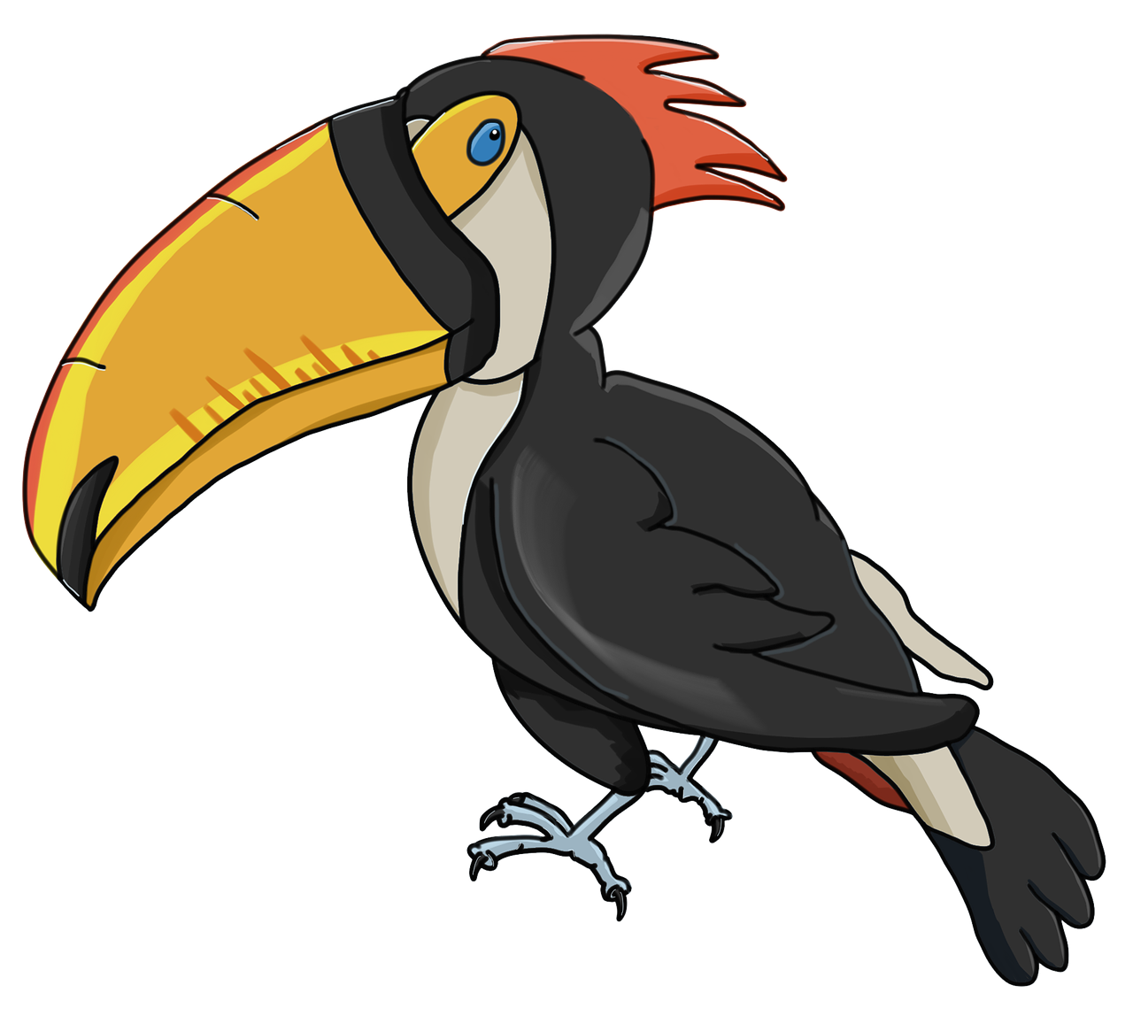 toucan perseid bird free photo