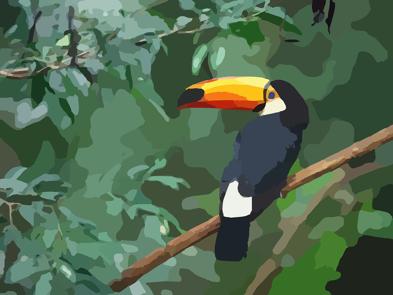 toucan bird exotic free photo