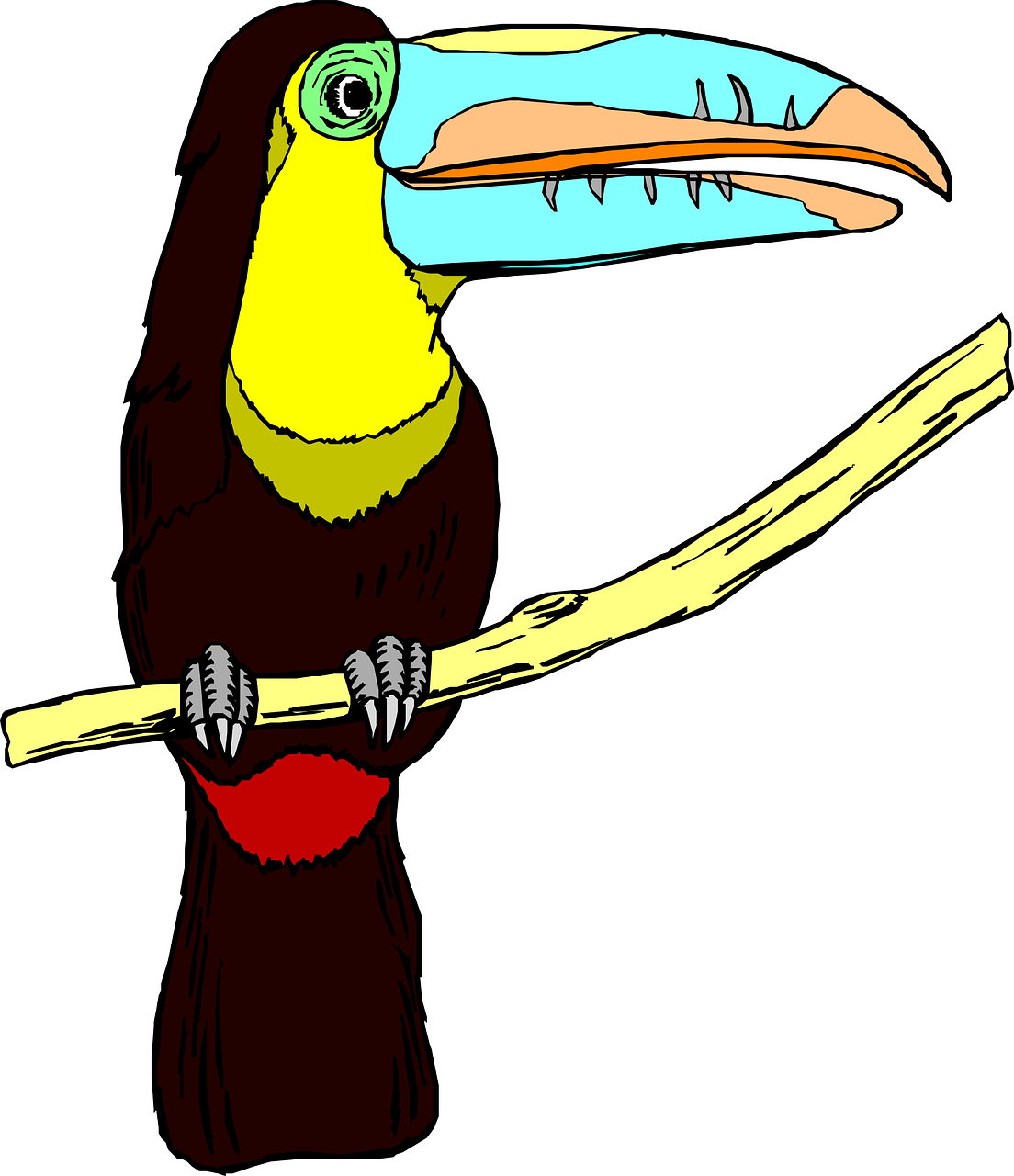 toucan bird wildlife free photo
