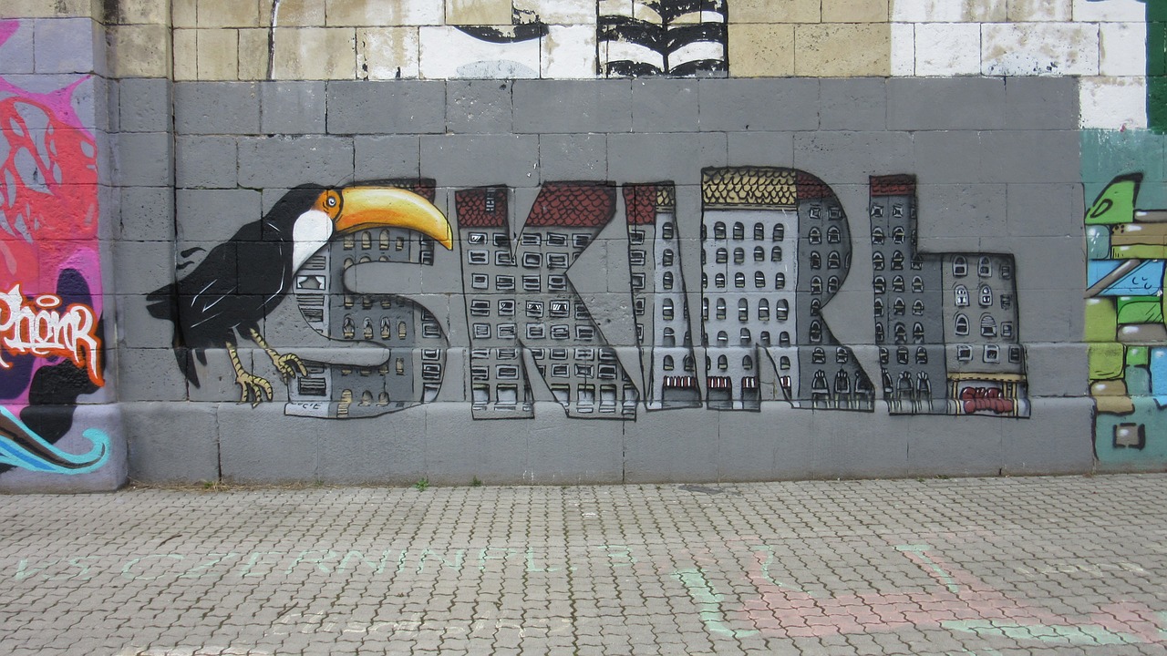toucan graffiti wall free photo