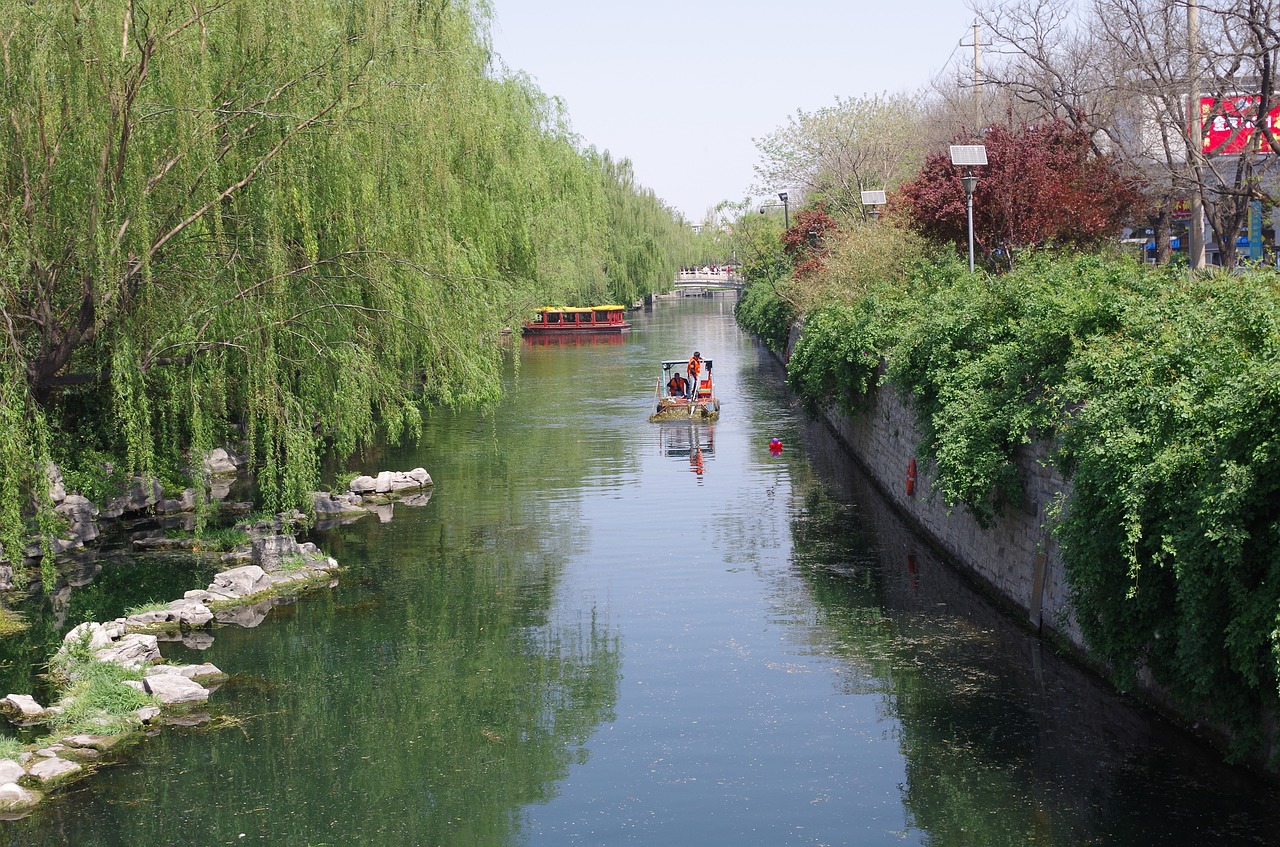 tourism the scenery trees free photo