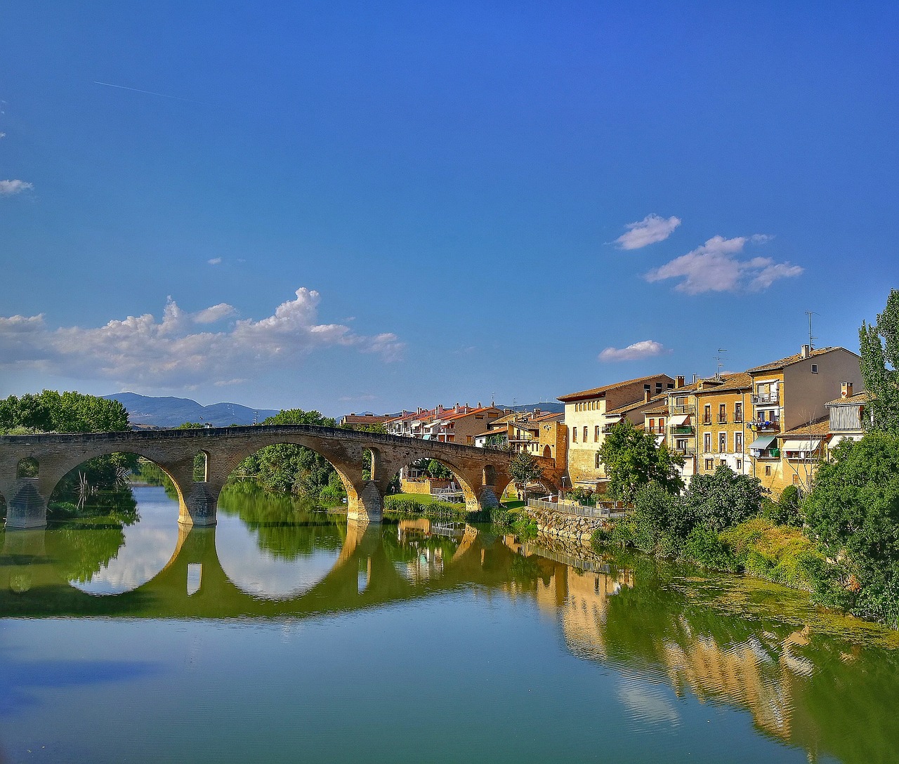 tourism  bridge  river free photo