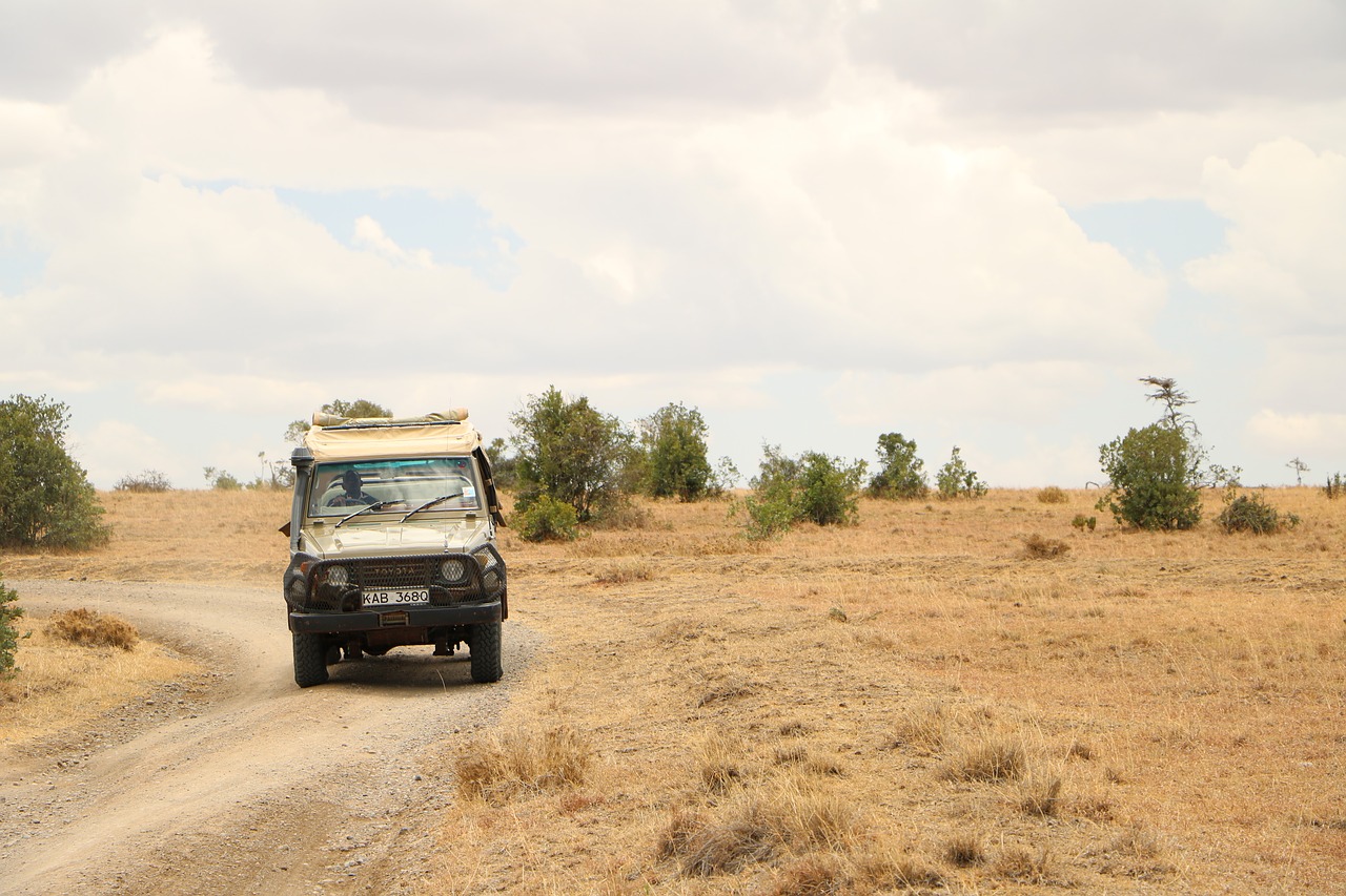 tourists safari kenya free photo