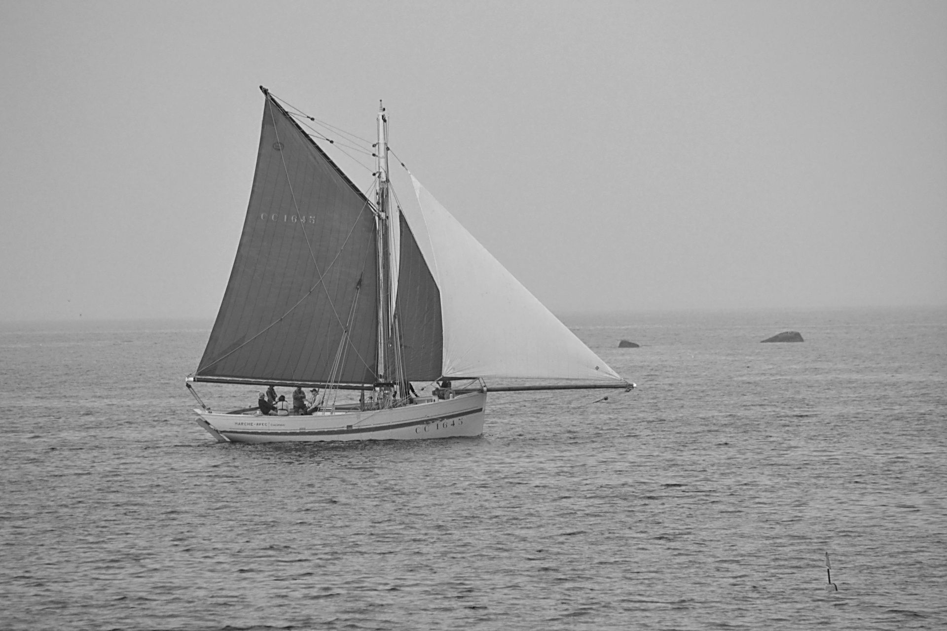 boat sails sailboat free photo
