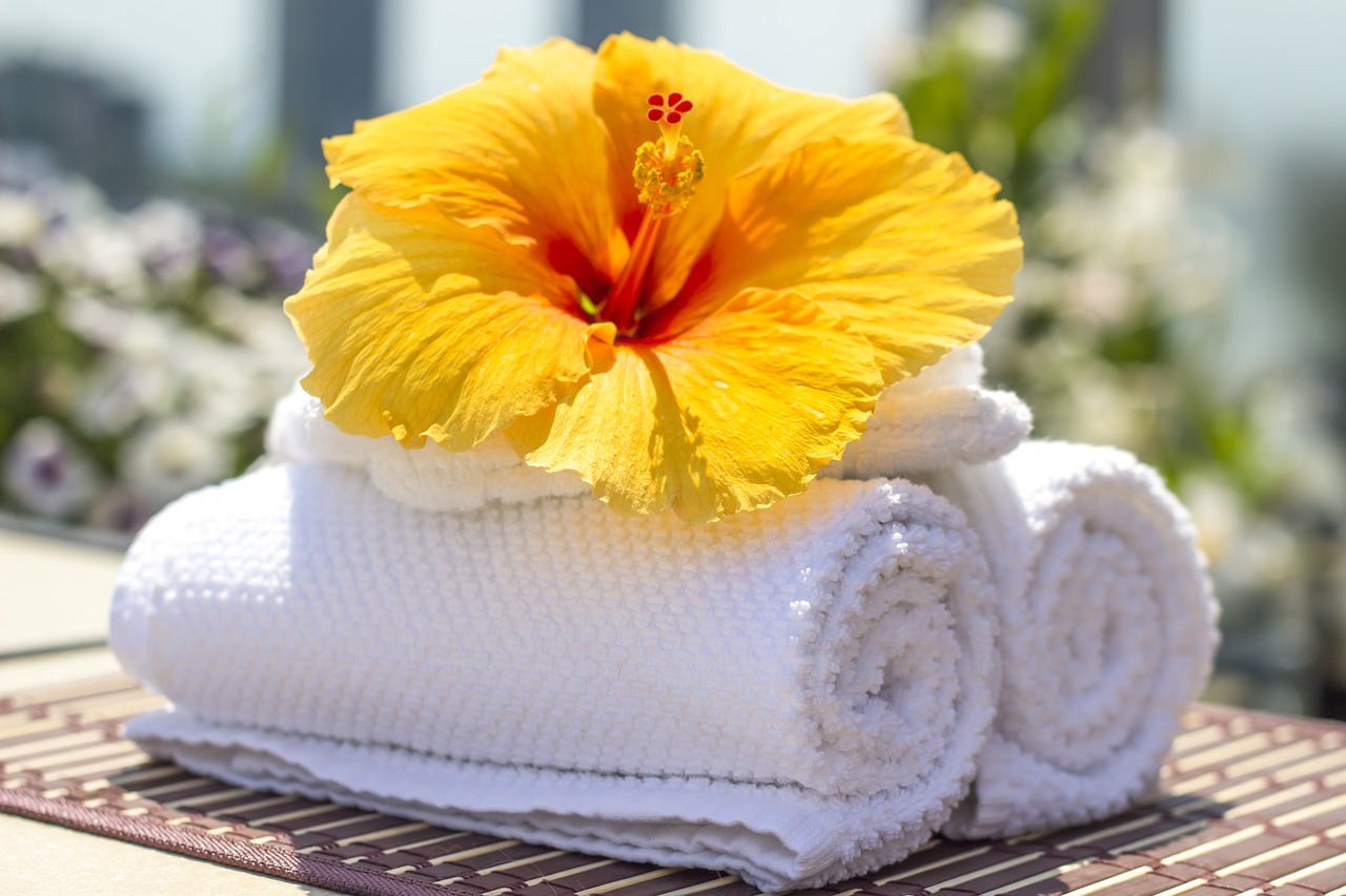 towel hibiscus clean free photo