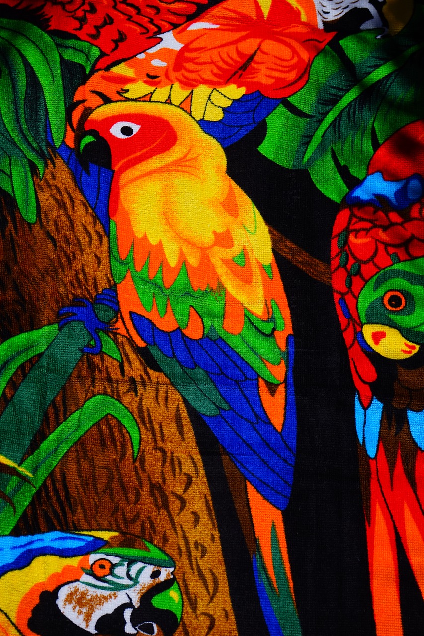 towel lori parrot free photo