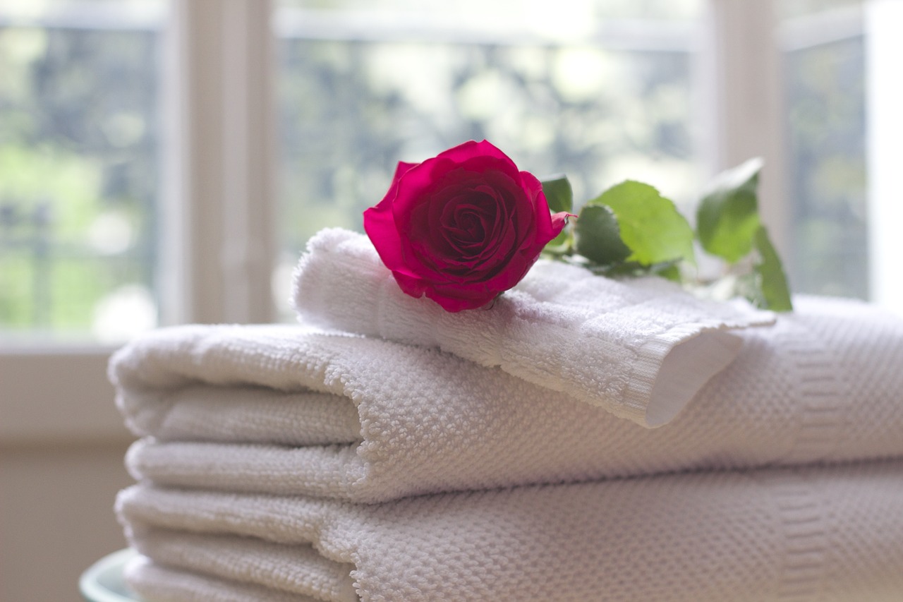 towel rose clean free photo