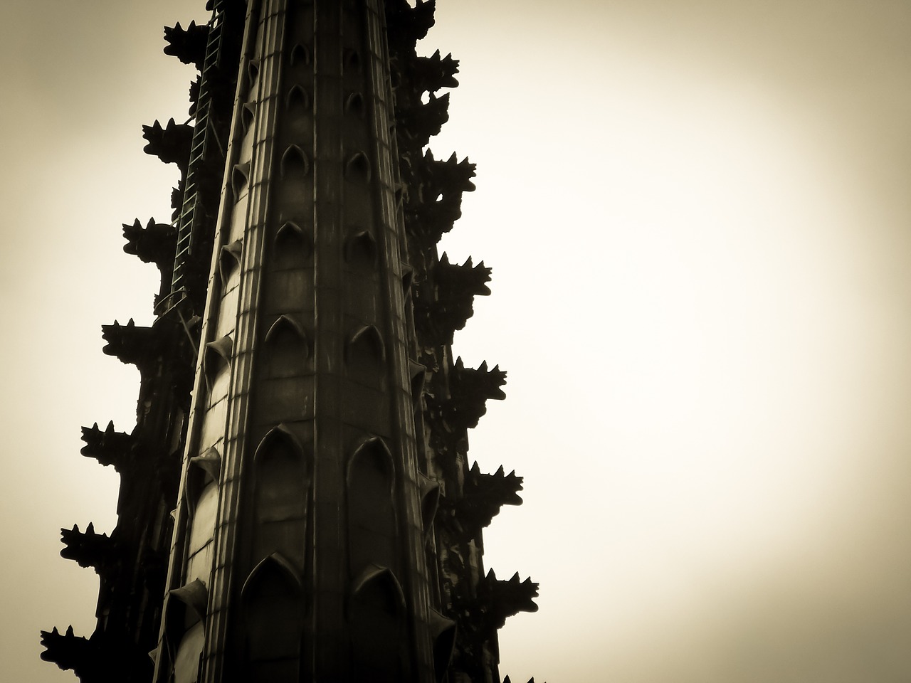 tower cologne cathedral dom free photo