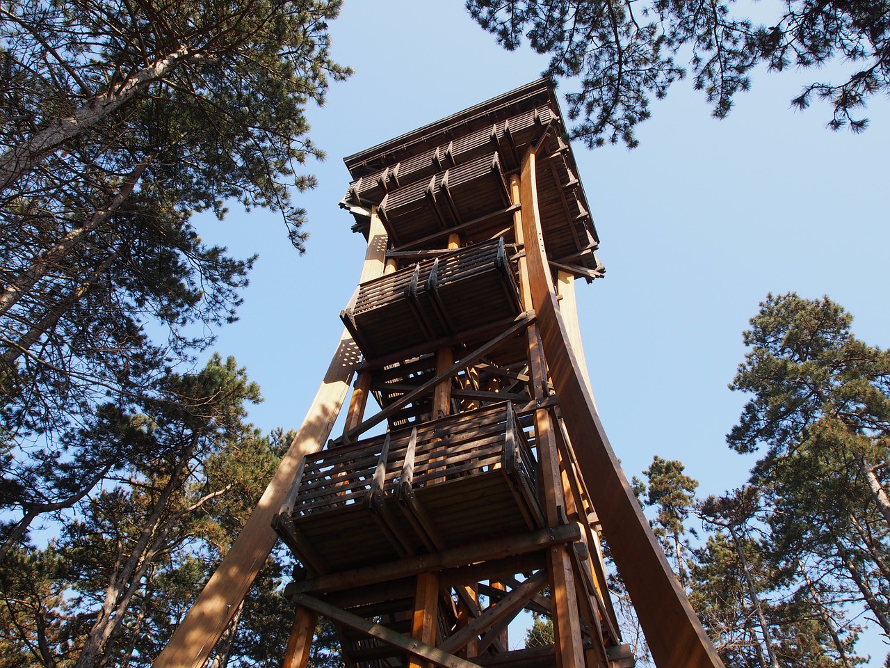 tower observation tower architecture free photo