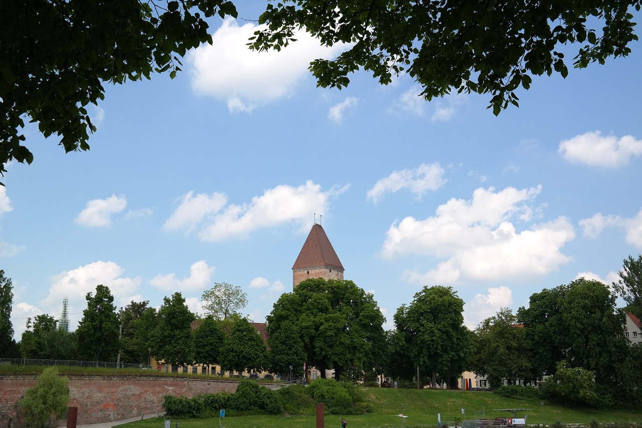 tower ulm goose tower free photo