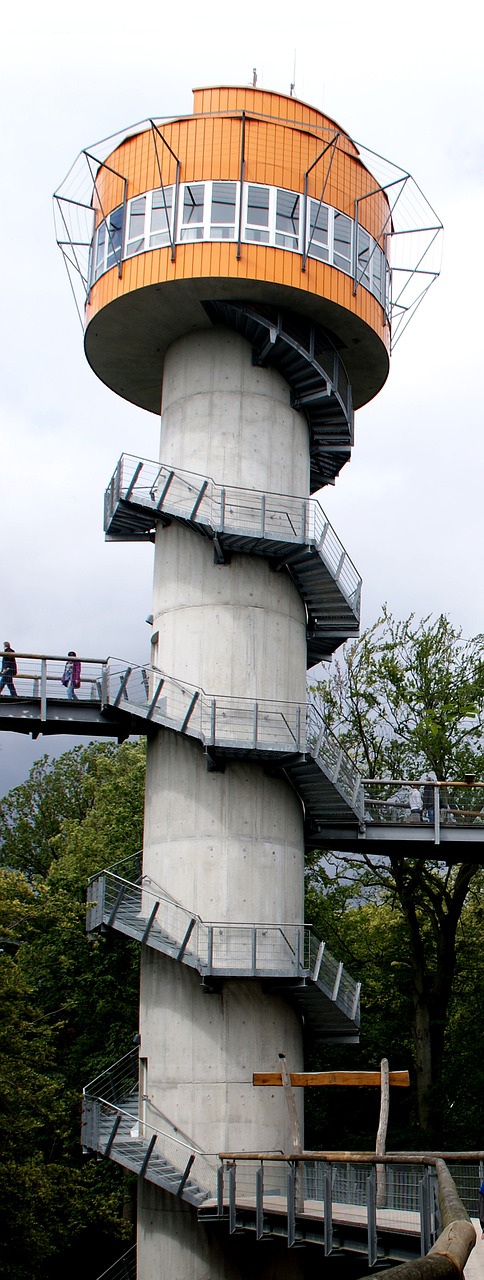 tower treetop path view free photo