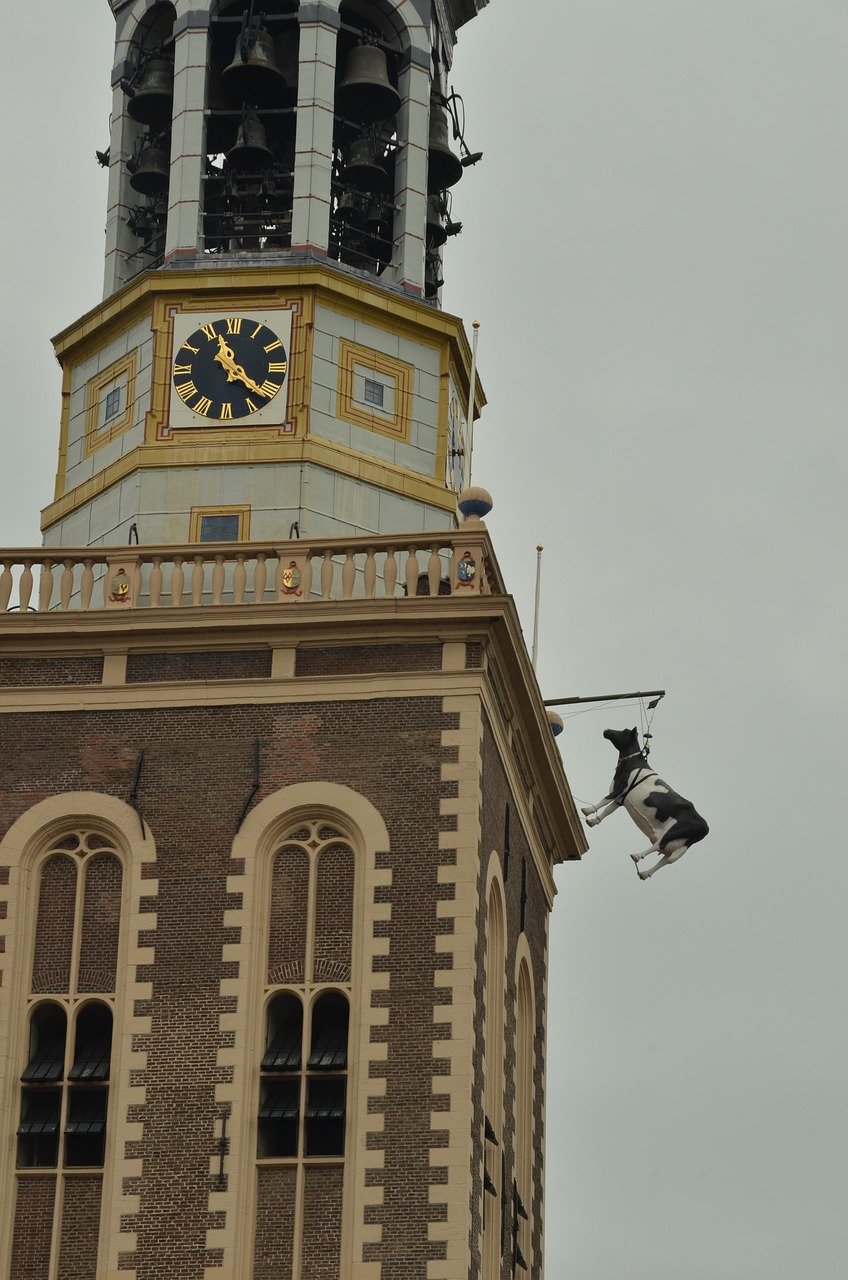 tower church tower cow free photo