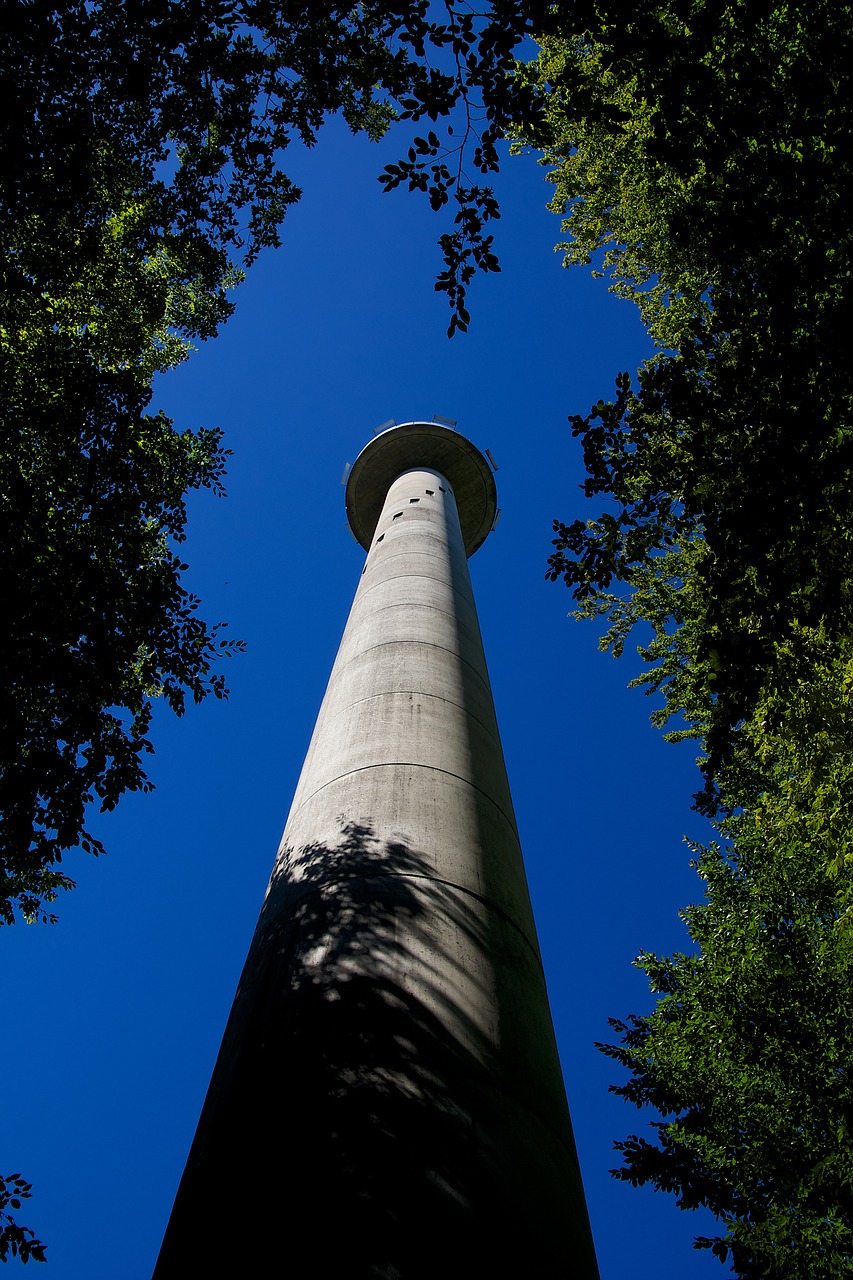tower forest view free photo