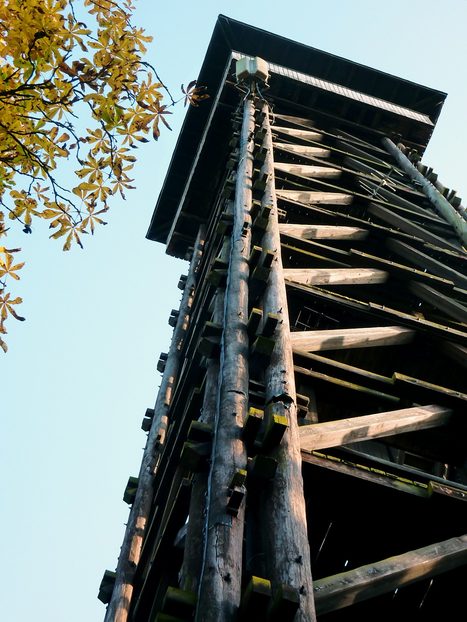 tower wooden tower observation tower free photo
