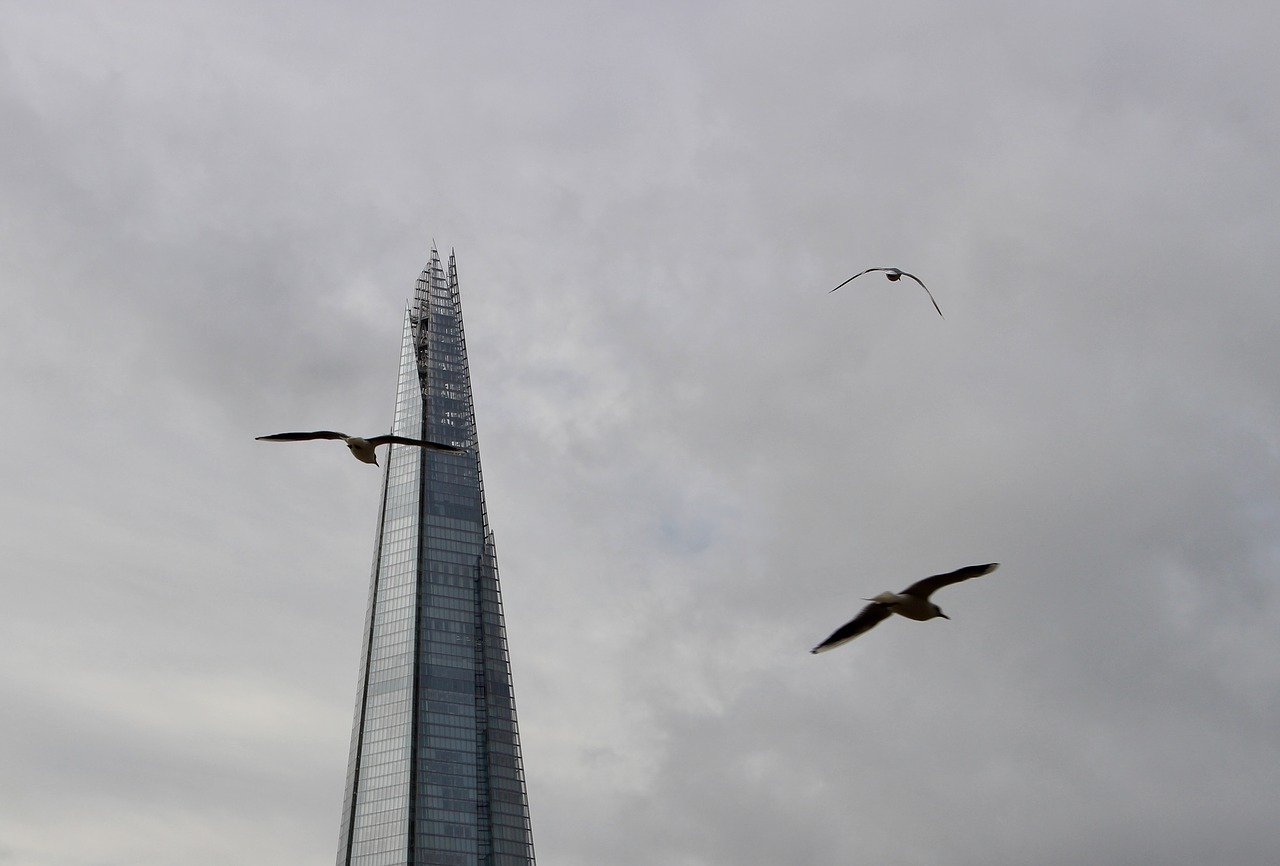 tower london birds free photo