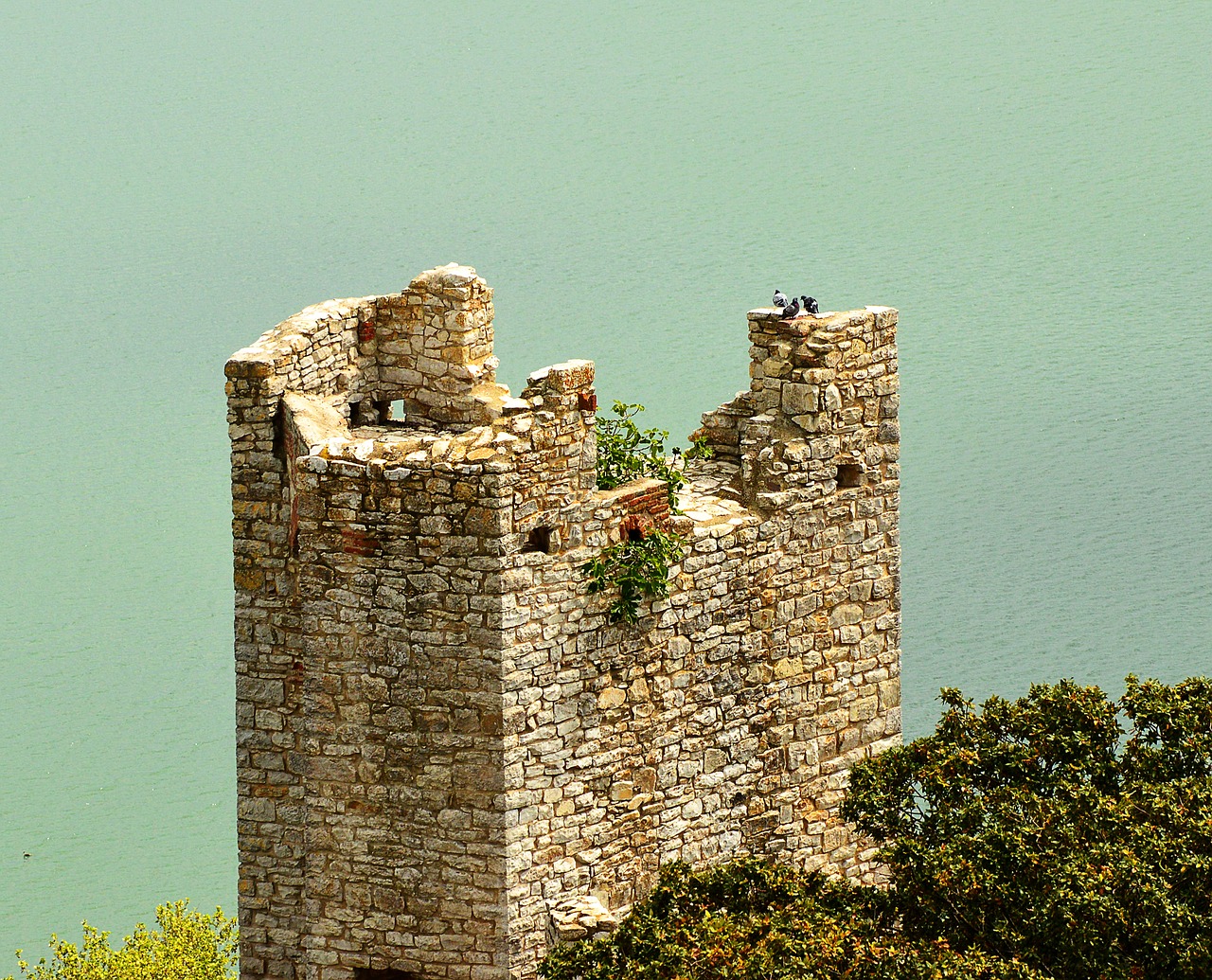 tower old castle free photo