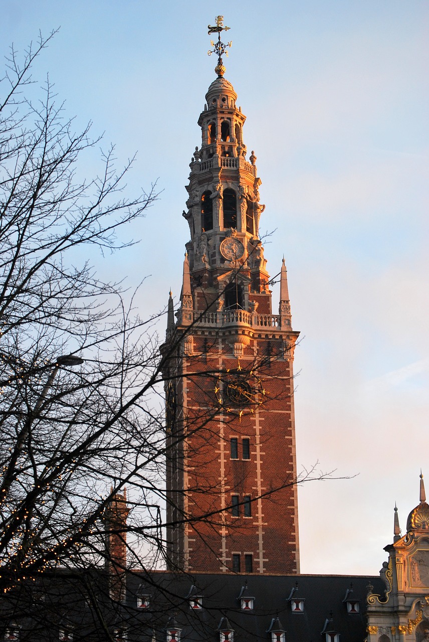 tower library leuven free photo