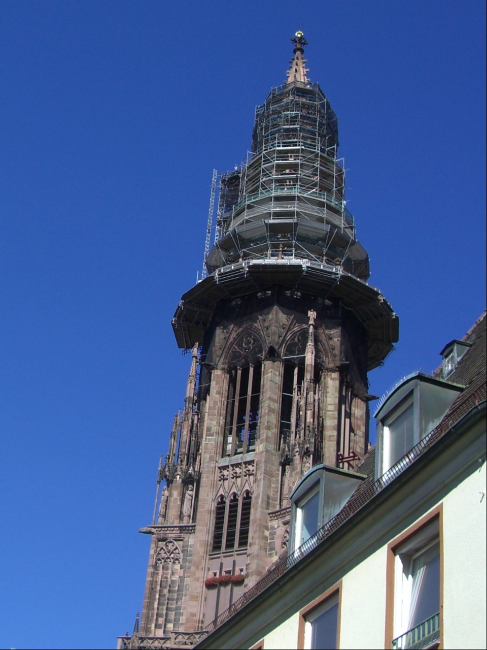 tower münster tower freiburg free photo
