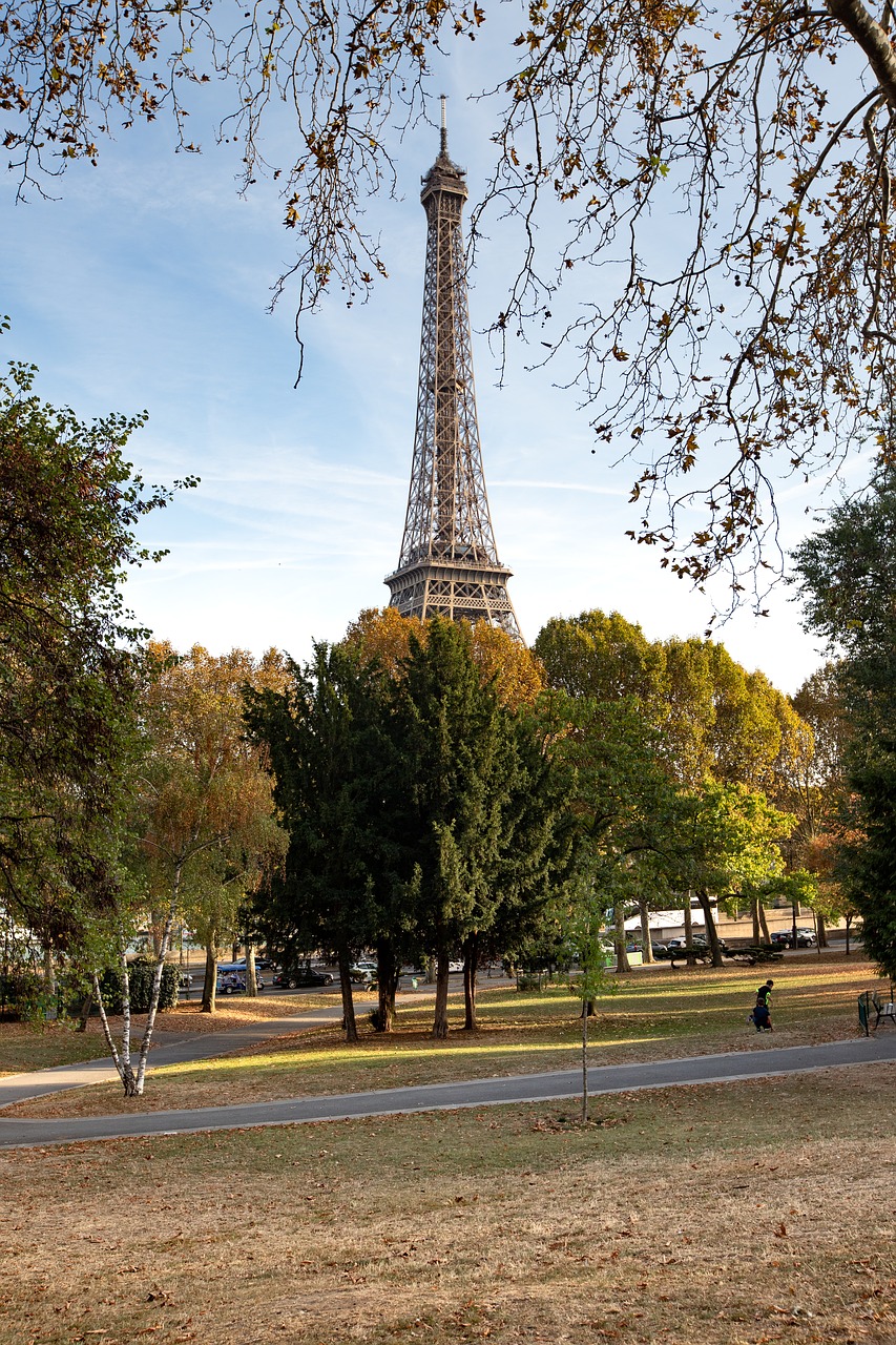 tower  paris  france free photo