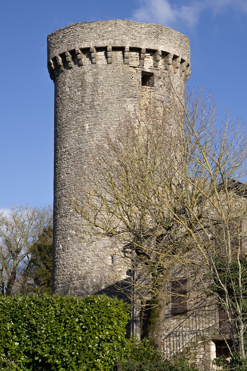 tower  medieval  fortress free photo