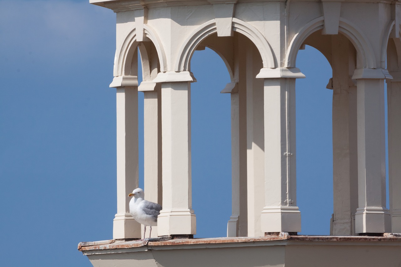 tower columnar seagull free photo