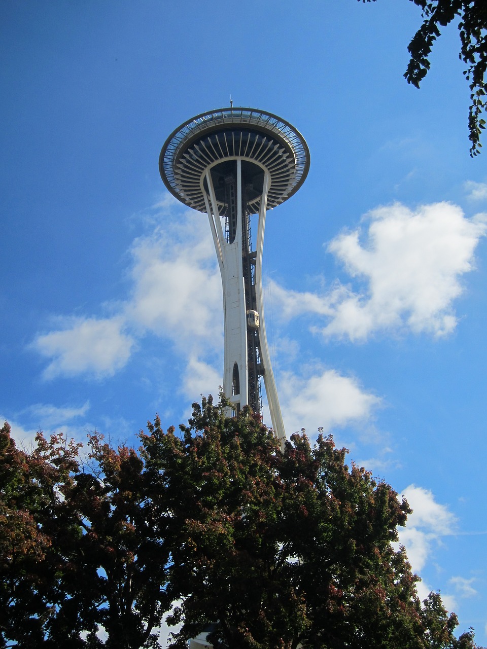 tower  seattle  skyline free photo