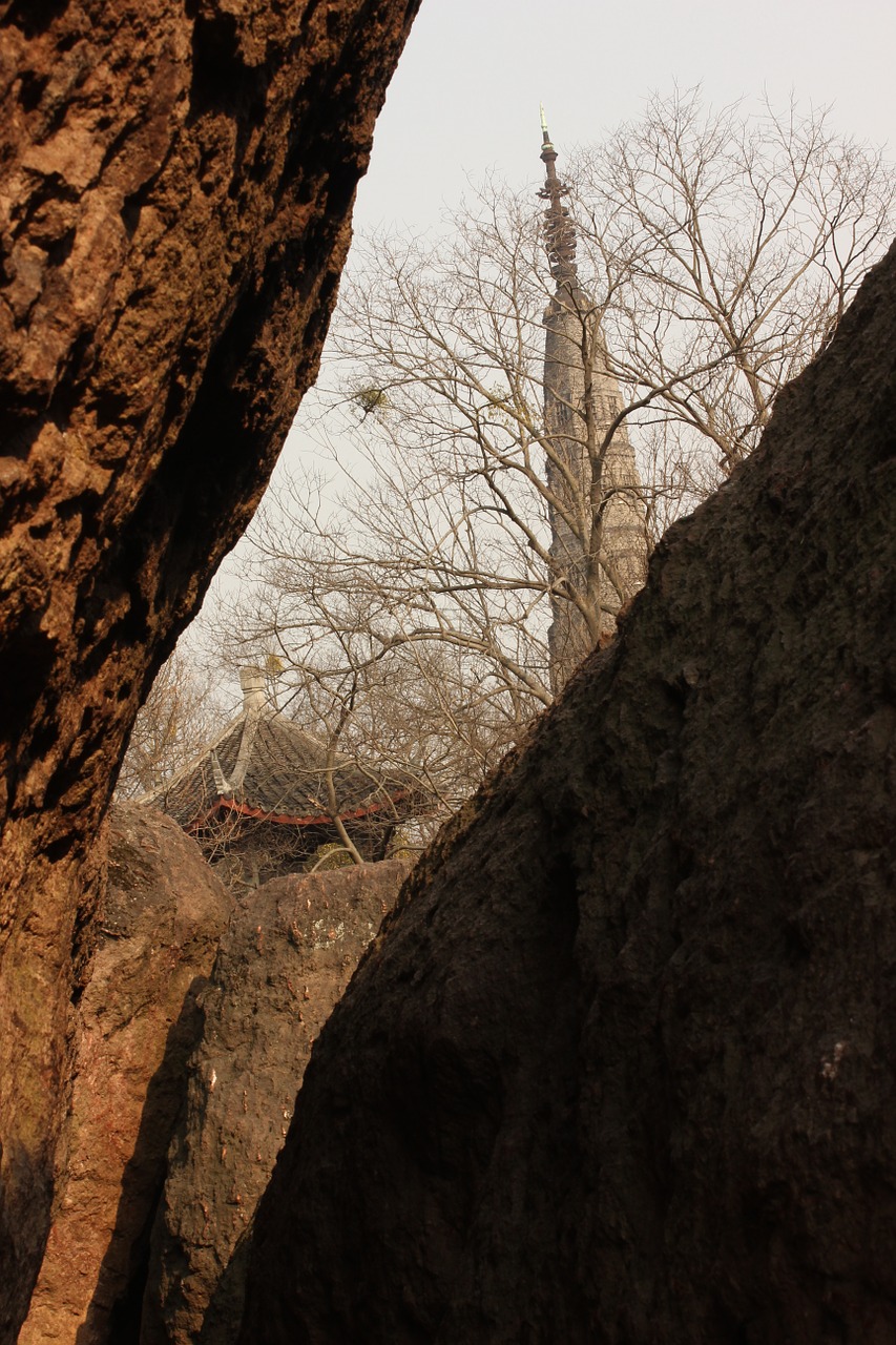 tower stone tree free photo