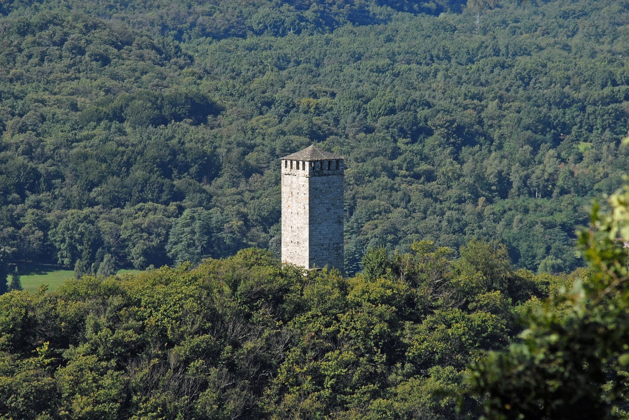 tower buccione buccione's tower italy free photo