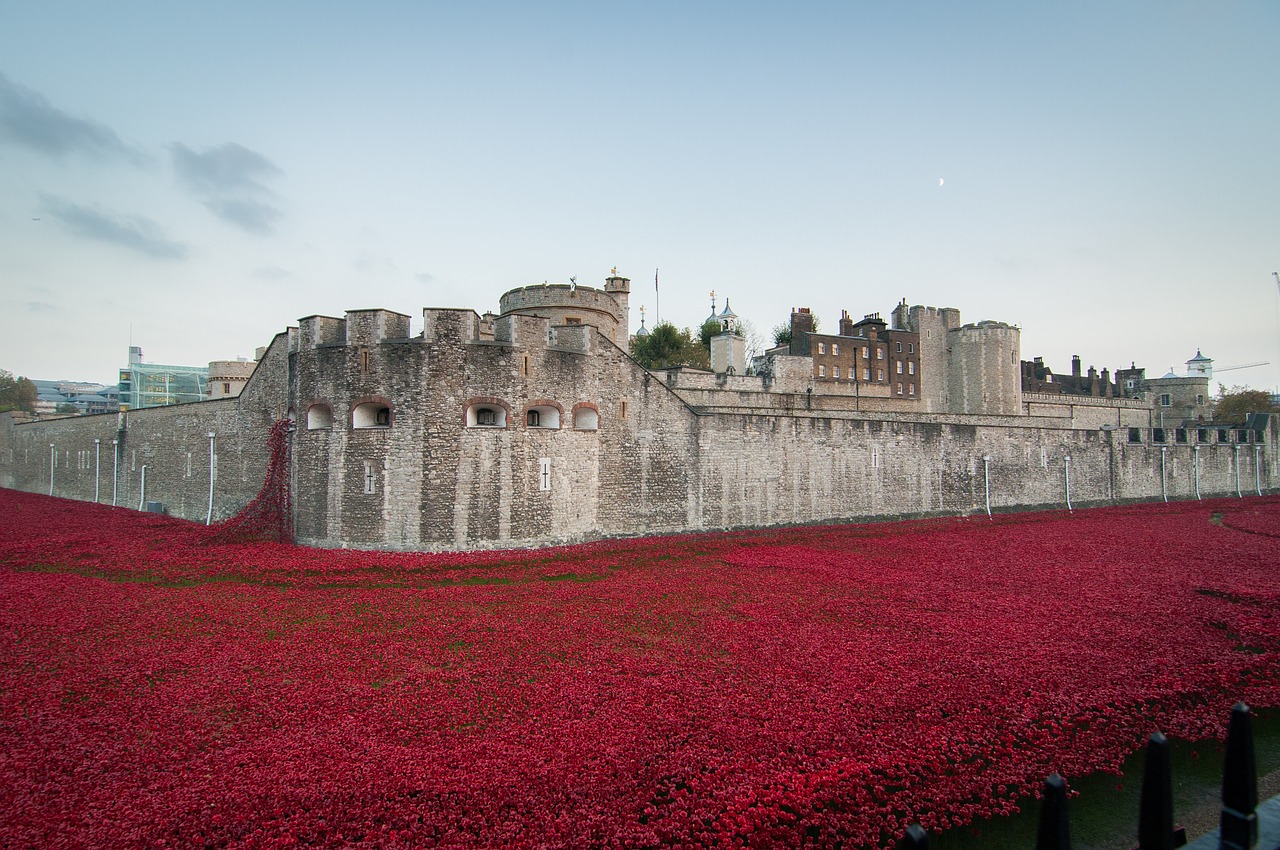 tower of london  remembrance  november free photo