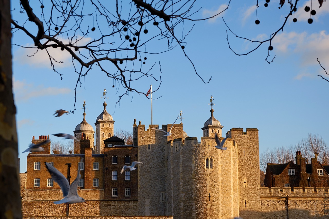 tower of london london tower free photo