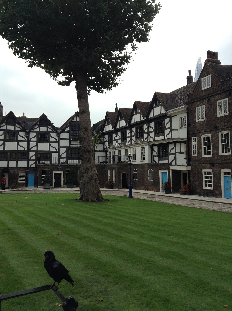 tower of london raven fortress free photo