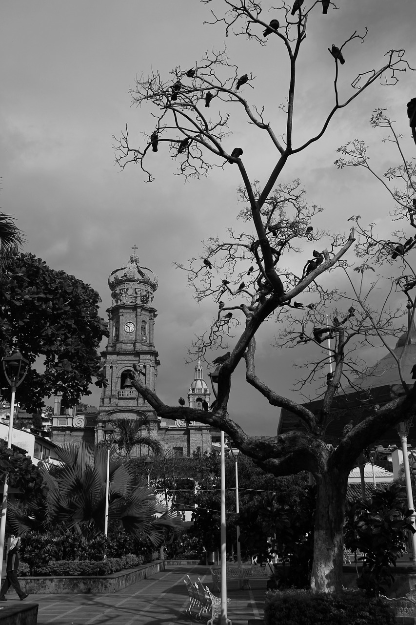 town church black and withe free photo