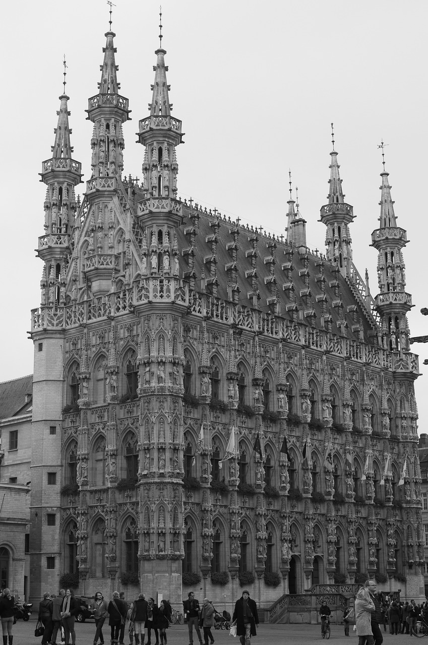 town hall leuven gothic free photo