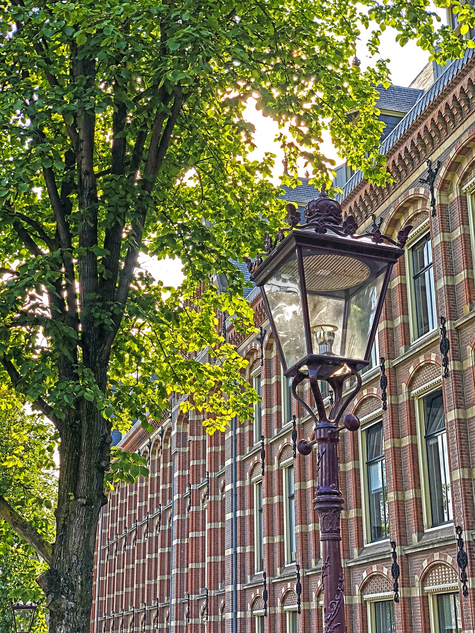 town hall  building  brick free photo