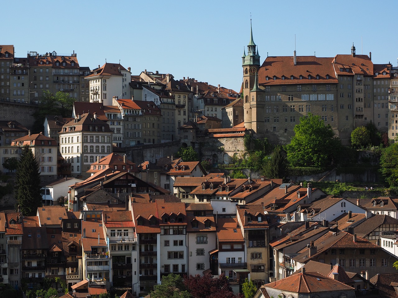 town hall  fribourg  city free photo