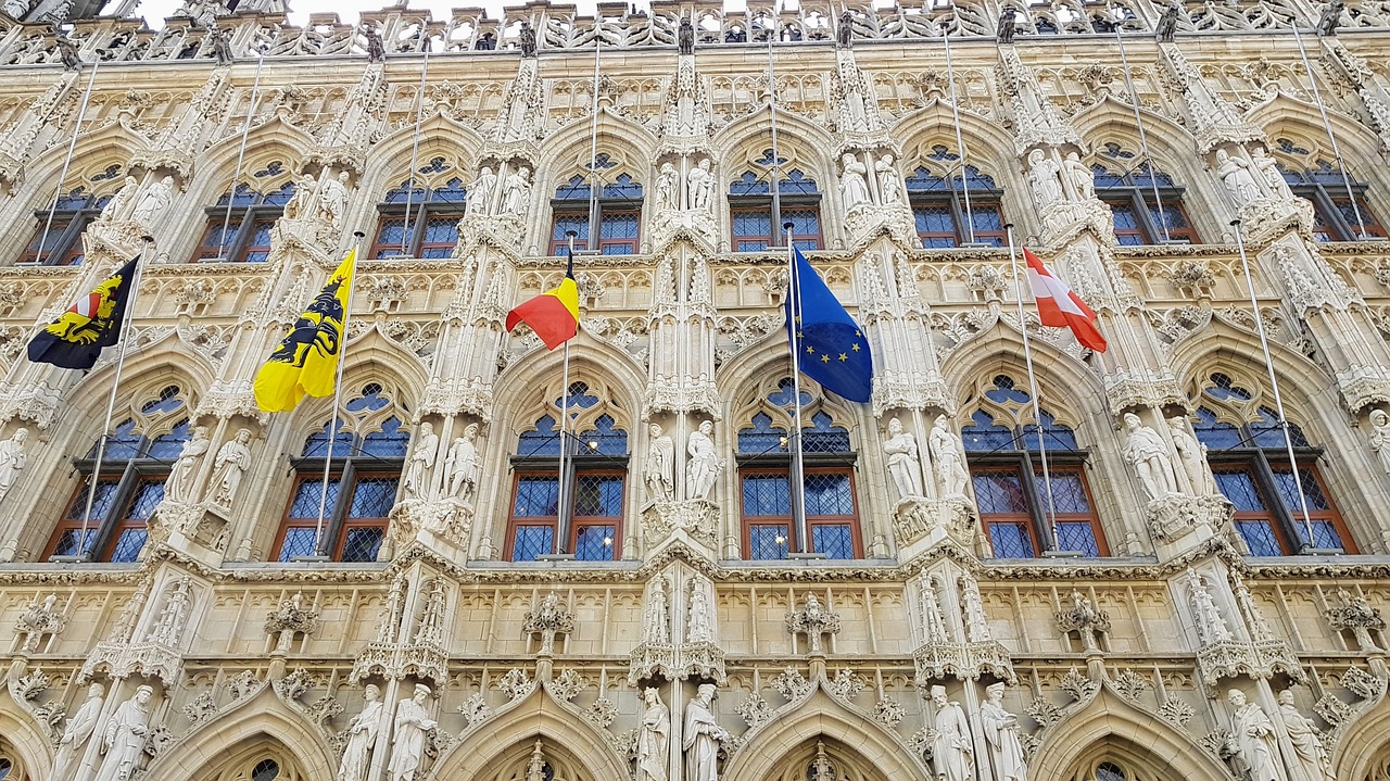 town hall  leuven  belgium free photo