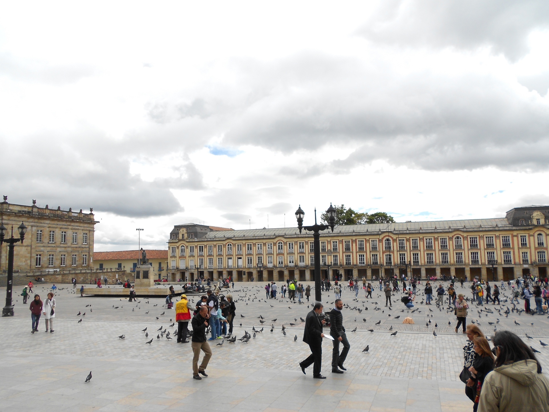 pigeons city tourists free photo